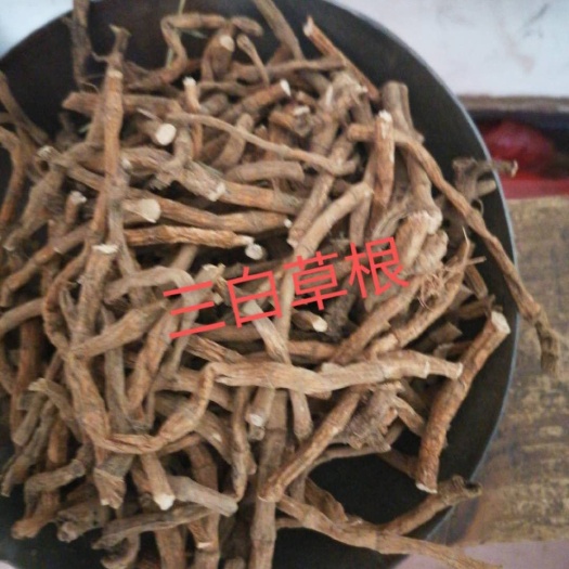 宁远县三百草根20—25
三百草根2斤起批每斤25元
10斤起批2