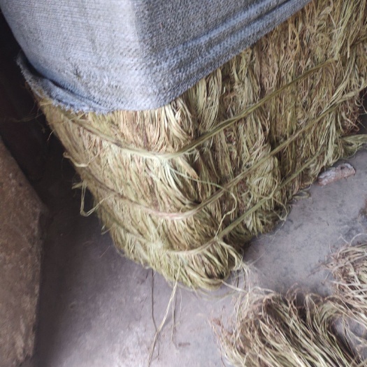 大竹县苎麻 大竹县手工青麻现货供应消防管道密封包食材包粽子孝麻用品