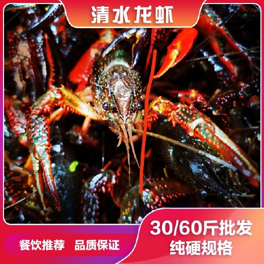潜江市小龙虾