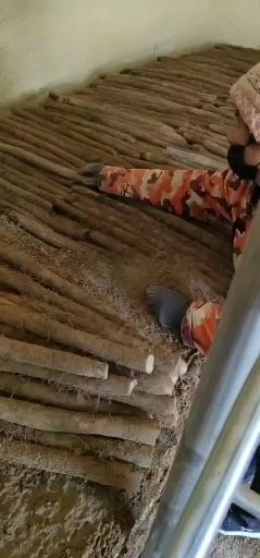 大名县2021年正宗白玉山药上市