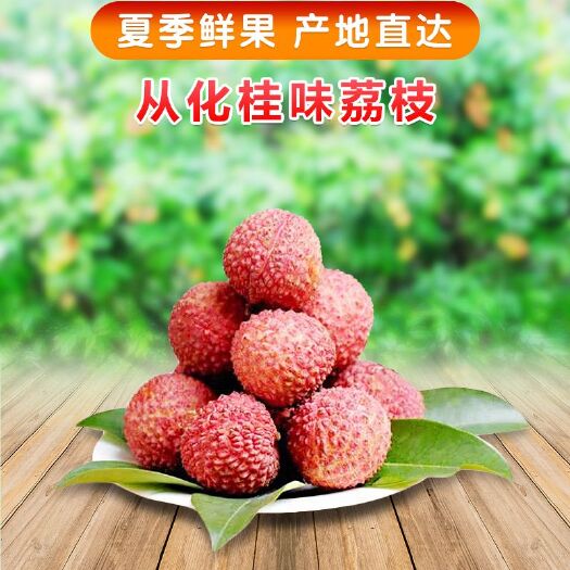 广州 从化桂味荔枝/从化钱岗糯米糍荔枝