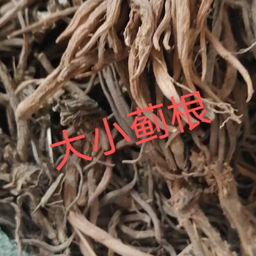 宁远县大蓟 大小蓟根5斤起批每斤30元
10斤起批每斤25元