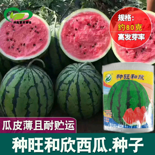 樟树市 东北大西瓜种子种旺和欣巨型地雷麒麟早熟圆抗重茬大红瓤高糖抗裂