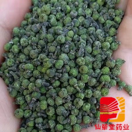 柳城县吴茱萸 自己家种的可以达到出口