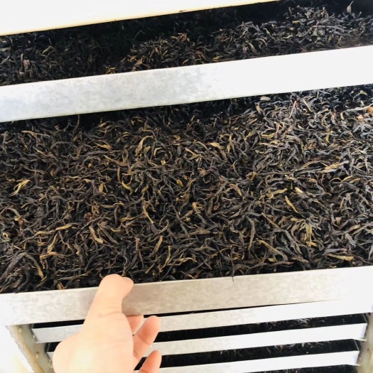 大埔县茶山单丛茶批发