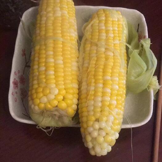 恩平市 可生吃水果玉米