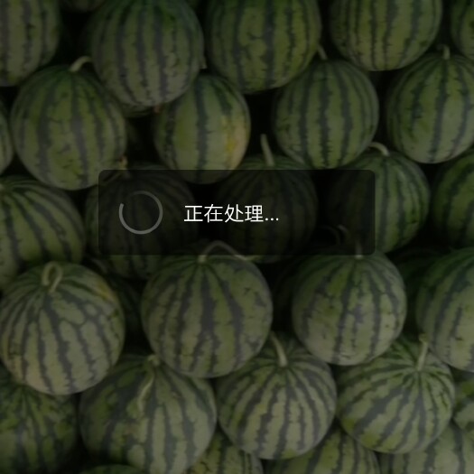 南通 美都无籽西瓜，皮薄果型好，