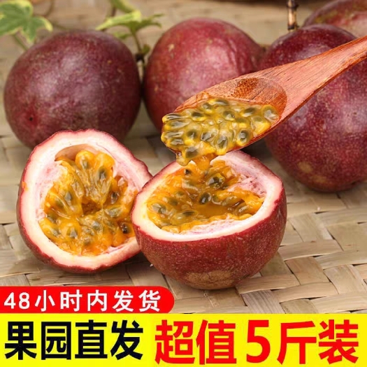 昆明紫香一号百香果  百香果整箱5斤起批