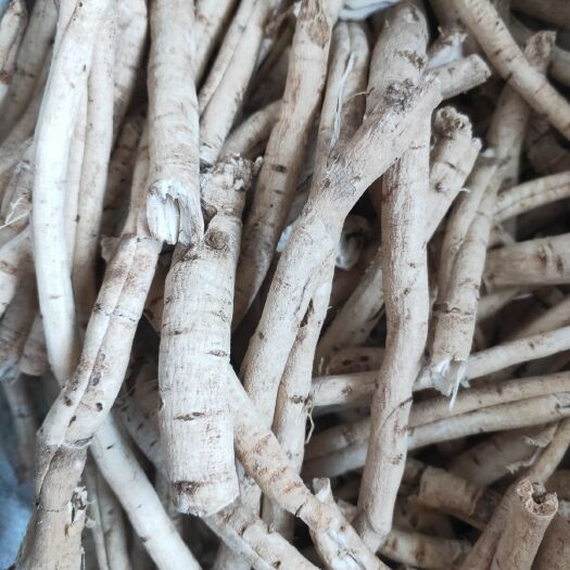 辽阳县白鲜皮