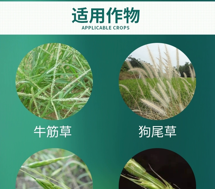高效氟吡甲禾灵高盖杂草能花生大豆油菜禾本科杂草芦苇除草剂