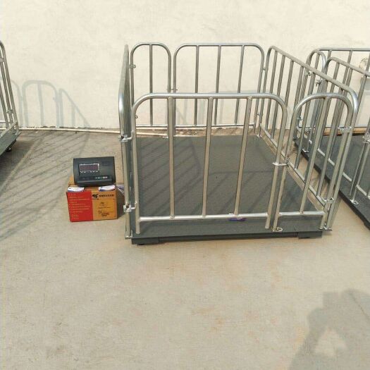 新乡地磅养猪专用。