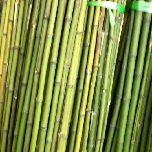个旧市 2020年菜架竹量大质优，欢迎实地考察。