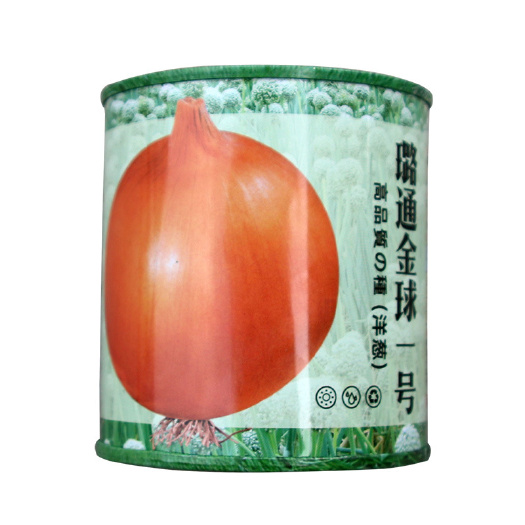 金球1号黄皮洋葱种子100克 蔬菜种子 农田菜园黄皮圆葱