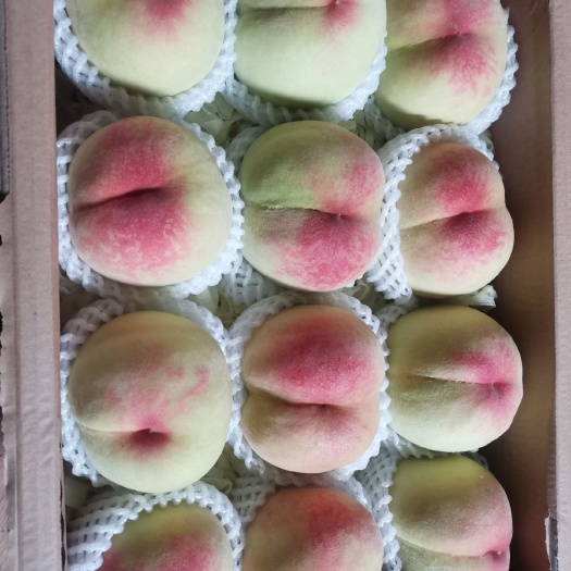 无锡 正宗阳山水蜜桃，心动不如行动