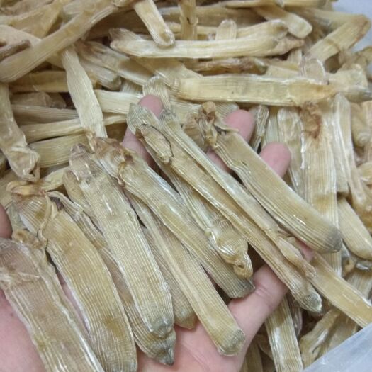 北海正宗北海沙虫干！！！