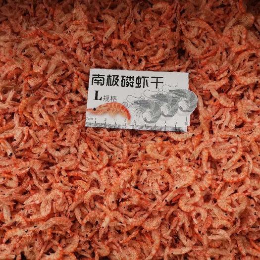 荣成市精品南极磷虾干