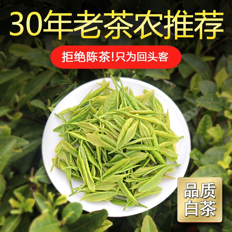 浙江白茶绿茶高品质2026年新茶现货茶农直销