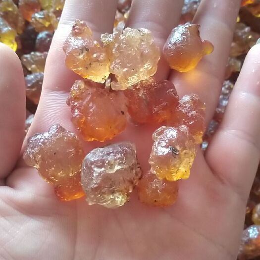 随县【爆款 天然颗粒食用桃胶