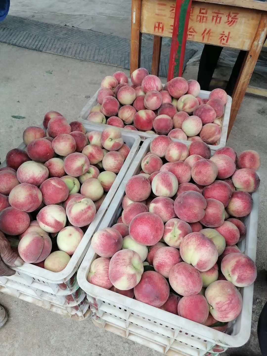 突围桃 精品大红桃