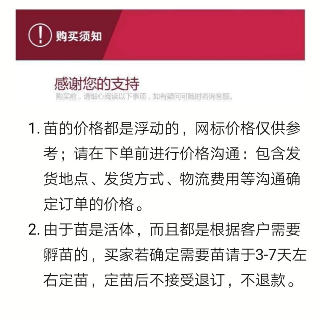 西洋鸭苗 (旱鸭)  鹅苗  土鸡苗厂家直销 出壳包打疫苗