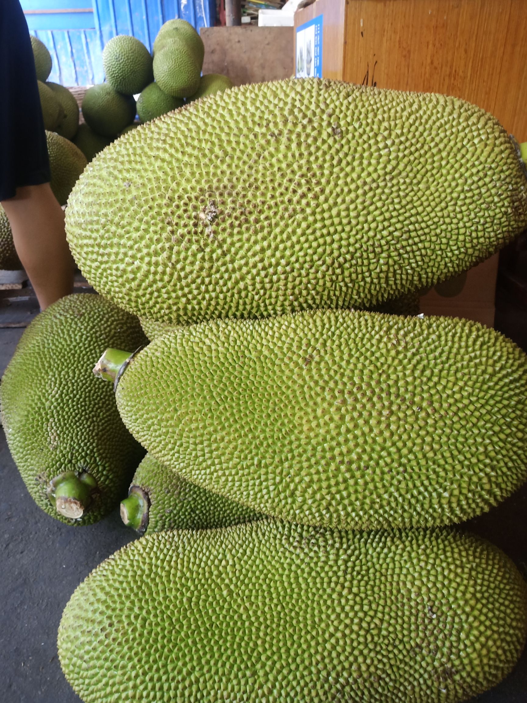  正宗海南三亚菠萝蜜专营店