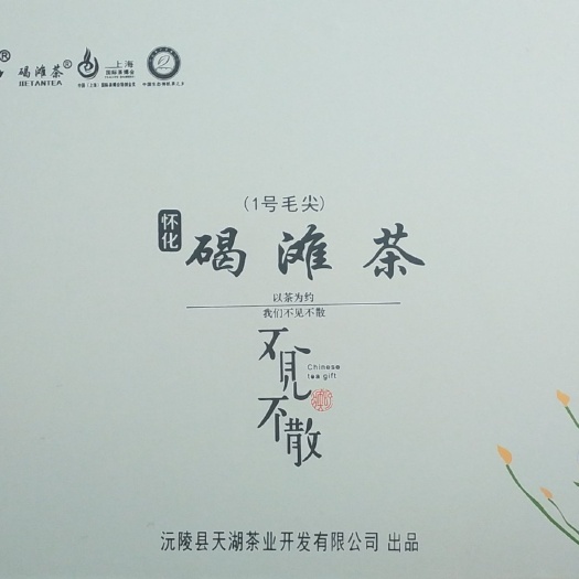  湖南怀化沅陵特产碣滩茶 绿茶 毛尖