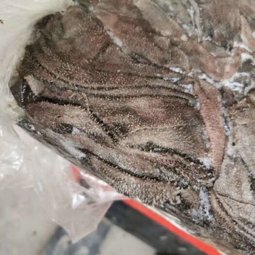 怀化牛百叶  鲜冻百叶，又叫毛肚！底板无油，不掉毛！质量A。