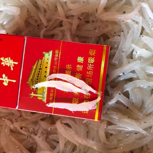 东港市 各种规格银鱼保质保量