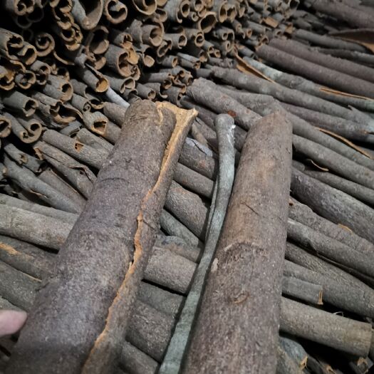 德庆县 桂皮  中通