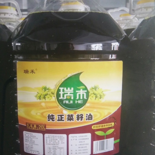 日照纯菜籽油 油行天下，合作共赢