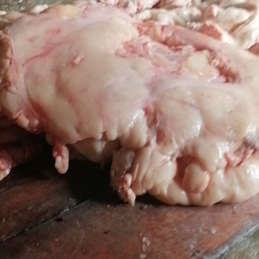 河池 新鲜牛油