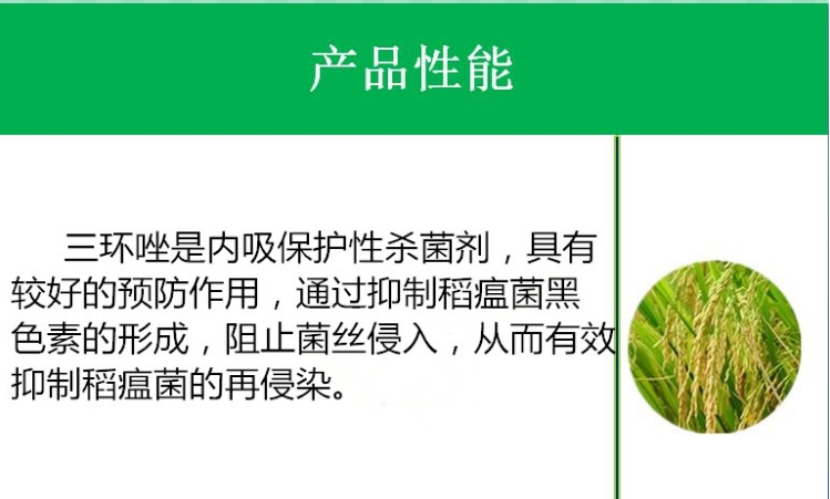 丰登 75%三环唑12.5克防治水稻稻瘟病农药杀菌剂