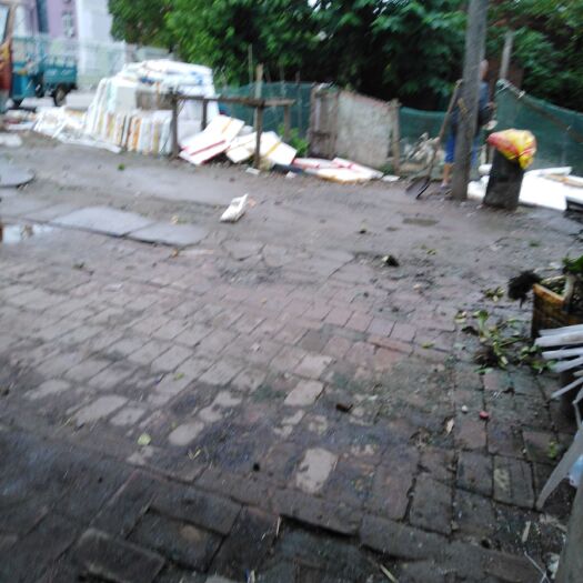 洪湖市 正宗土鸡。