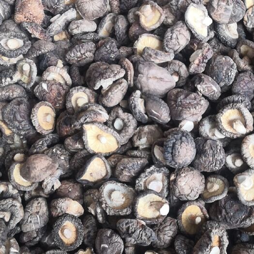 南召县南阳春栽2.5cm干香菇金钱菇产地直供身干无杂量大从优