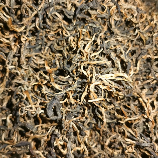 思茅滇红工夫  滇红茶 蜜香红茶 毛峰