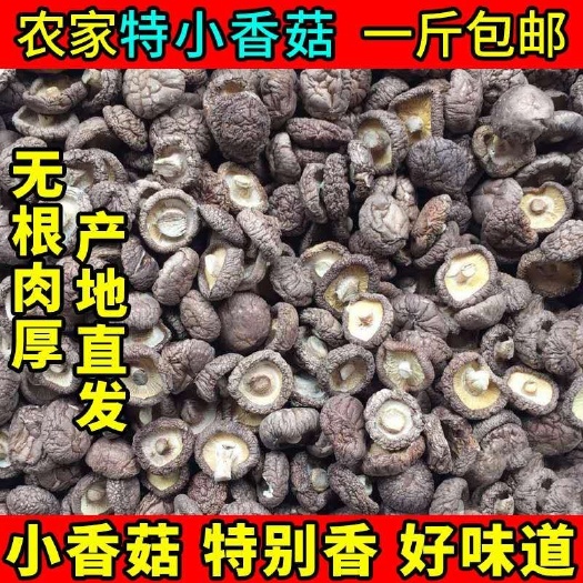 新货香菇干货小香菇冬菇花菇蘑菇农家干货批发