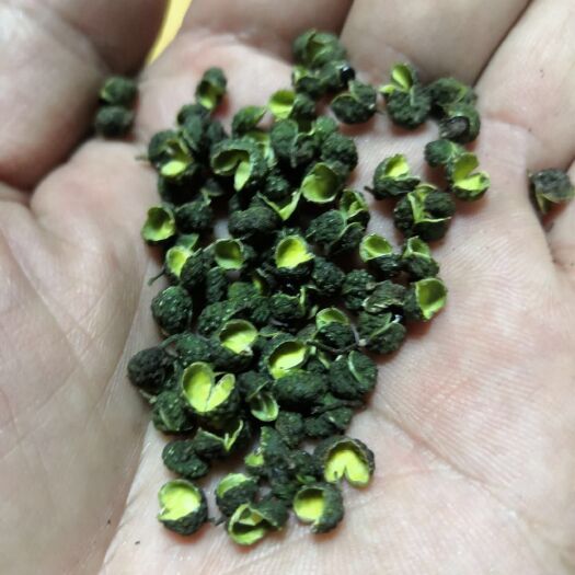 汉源县 花椒 青花椒