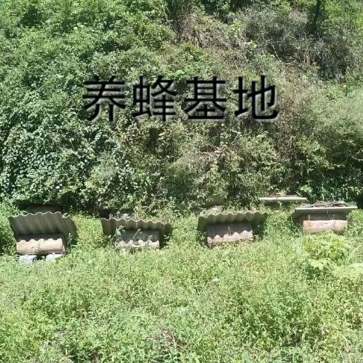 乐山 天然的蜂蜜口感好！