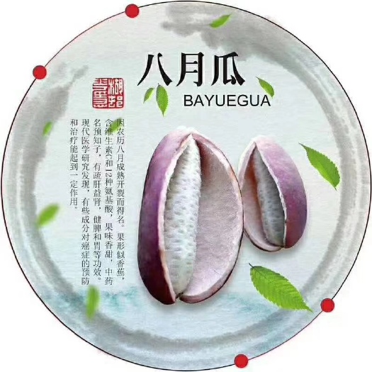 都江堰市大量供应八月瓜，在八月月中下旬成熟，交通物流快递便利