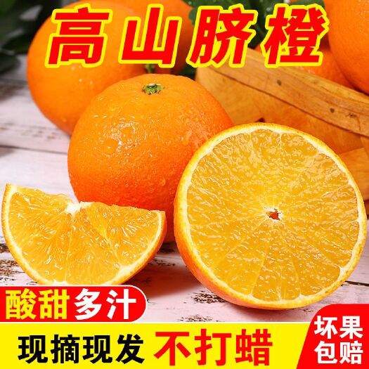宁都县【精品】高山脐橙 甜橙子新鲜水果手剥橙应季甜脐橙批发包邮