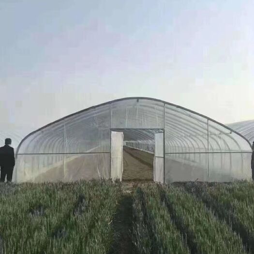 东光县养殖大棚 种植大棚