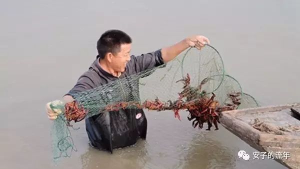 常德 小龙虾