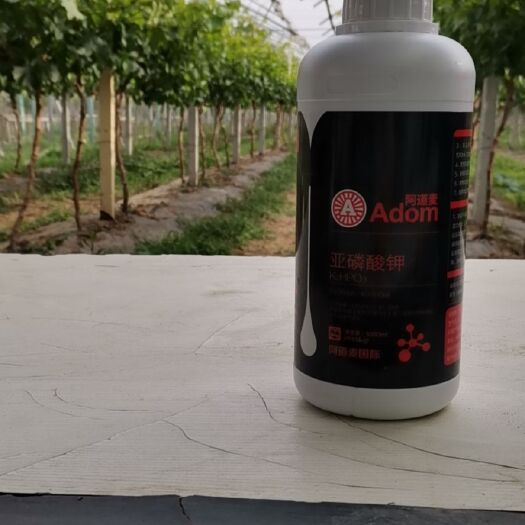 郑州叶面肥料 亚磷酸钾，抗病防逆，增产杀菌