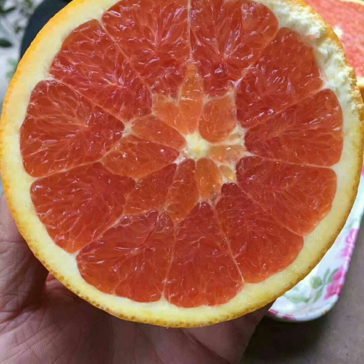 临澧县卡拉卡拉红肉脐橙苗 常德千思农林供应30-90公分高卡拉红肉脐橙苗