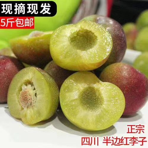 宜宾 正宗农家肥茵红李