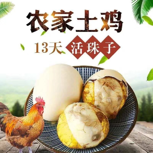 长春营养五香活珠子