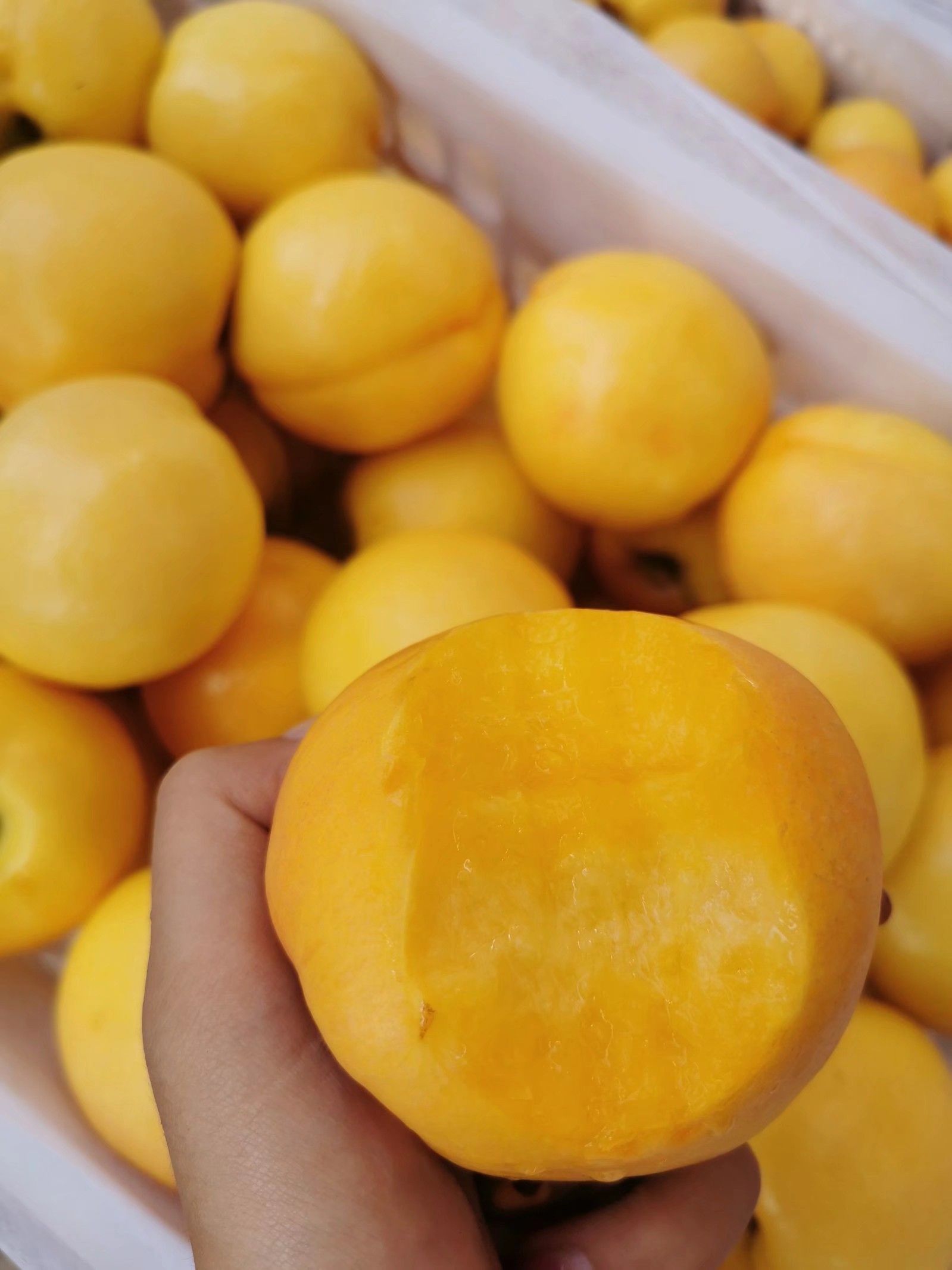 黄油桃品种介绍图片