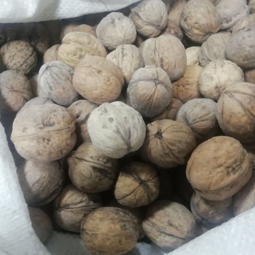 寿县 新疆185生核桃