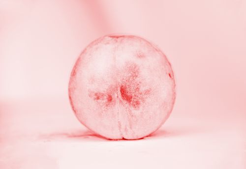 扶风县 水蜜桃