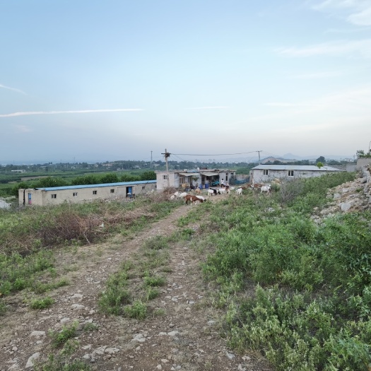 济南 山地养殖厂 有电水 可以用作种植业、养殖业有厂房有住房